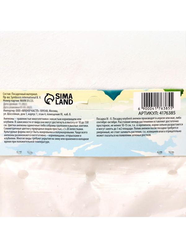 Анемона корончатая 