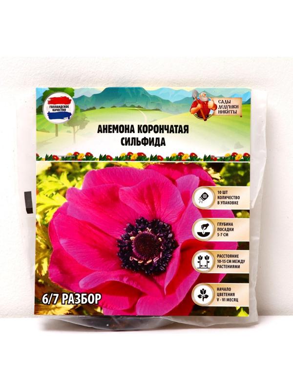 Анемона корончатая 