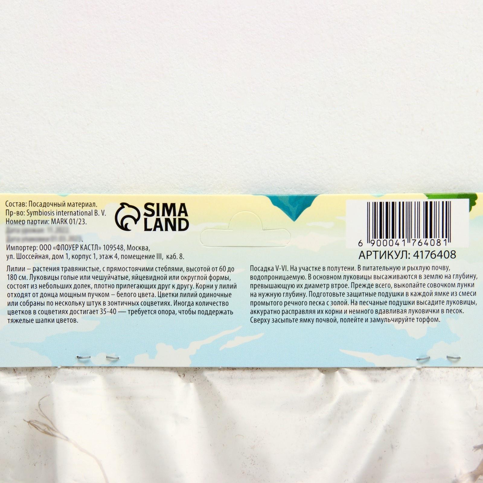 Лилия Восточная 