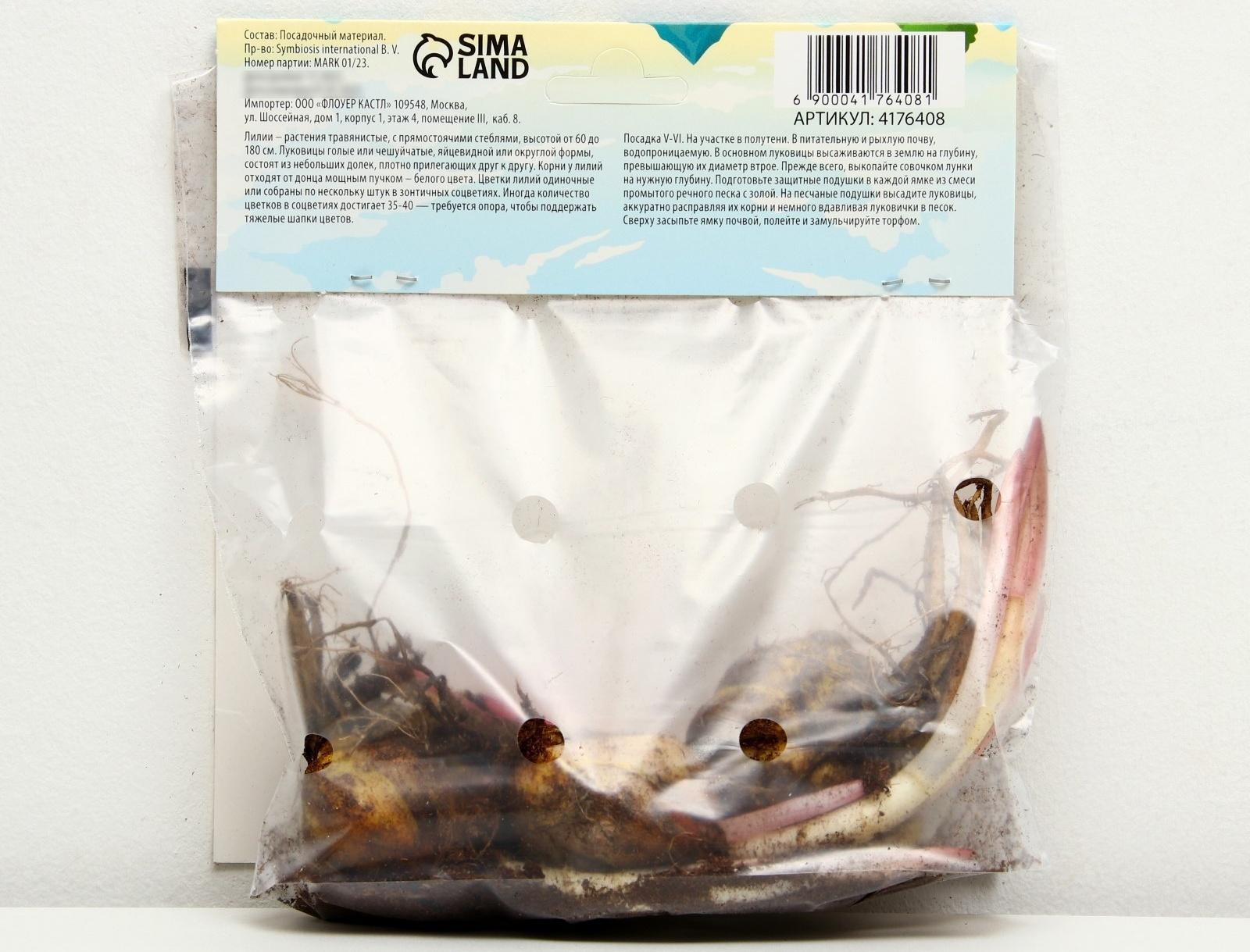 Лилия Восточная 