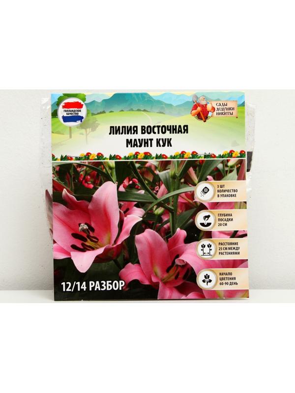 Лилия Восточная 