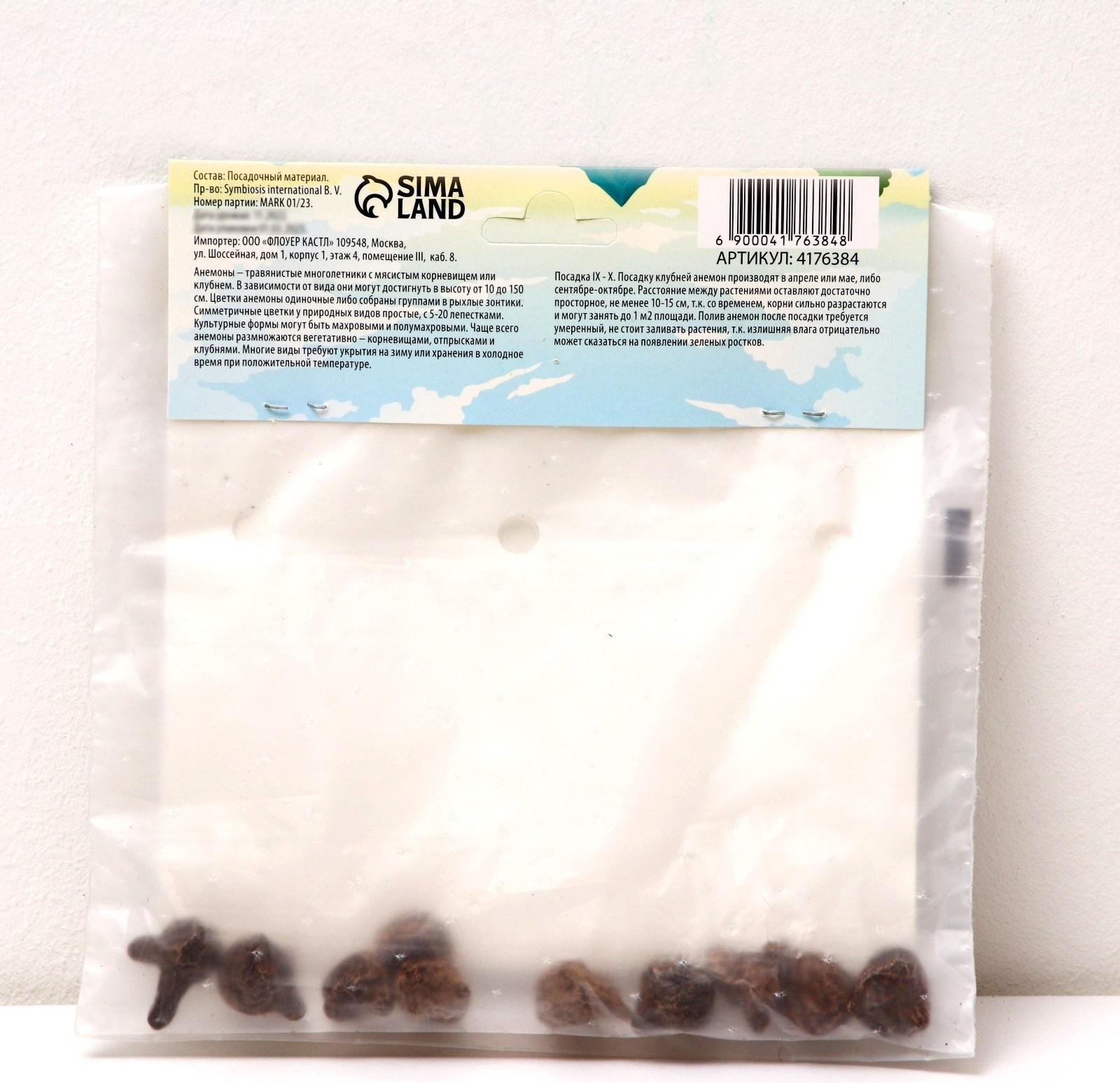 Анемона корончатая 