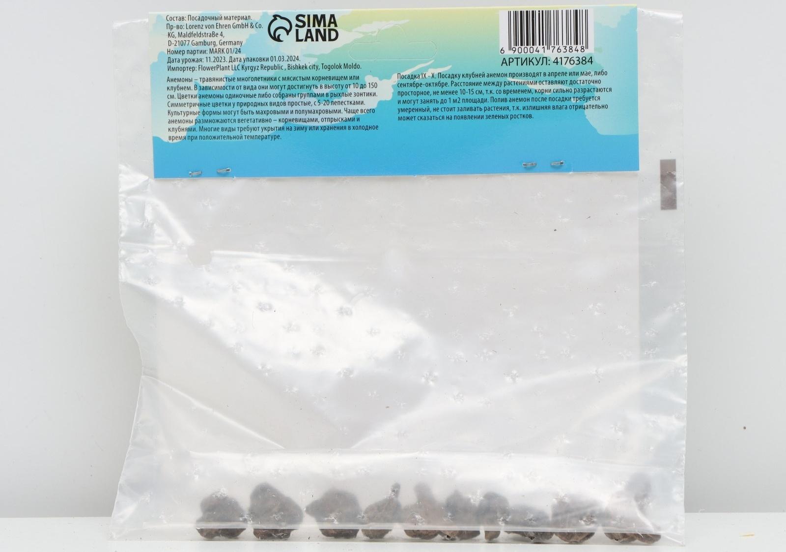 Анемона корончатая 