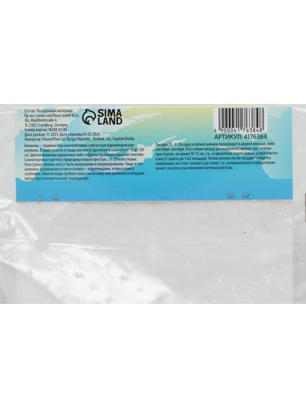 Анемона корончатая 