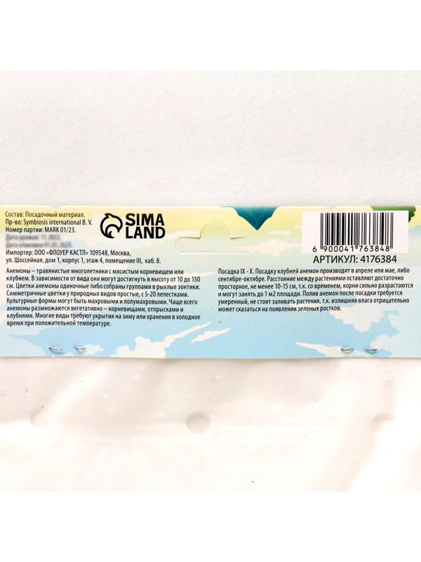 Анемона корончатая 