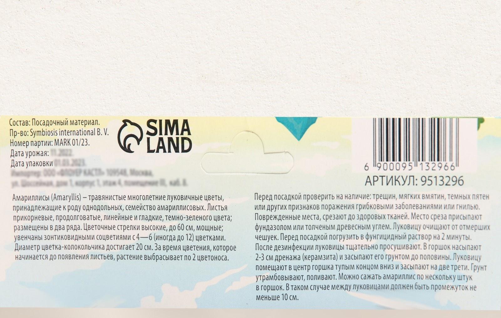 Лилия Восточная 