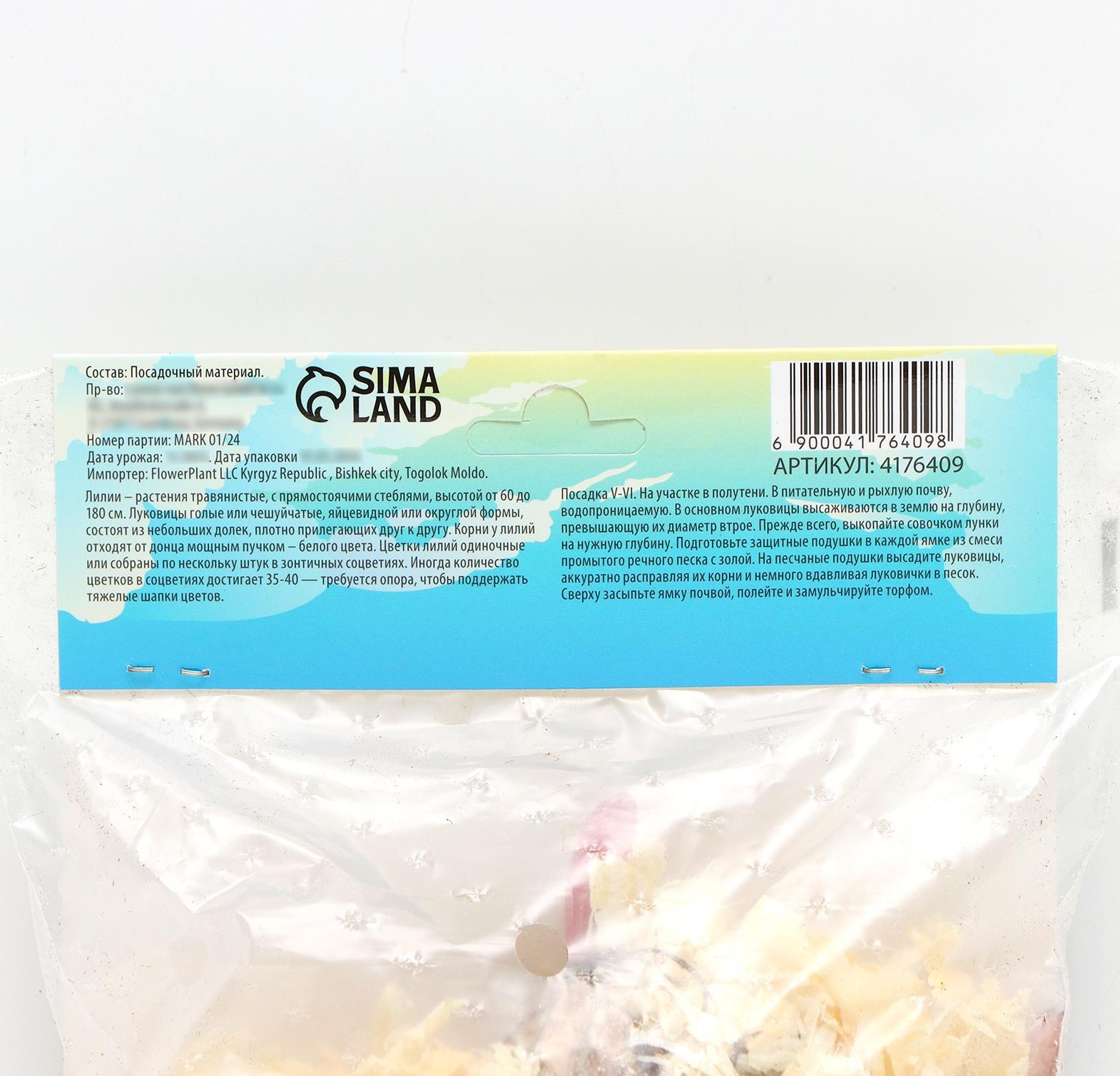 Лилия Восточная 