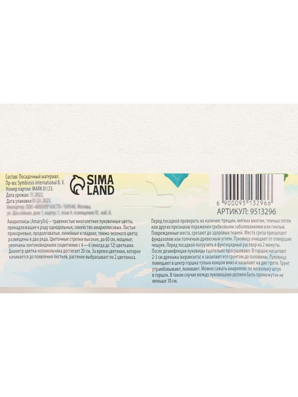 Лилия Восточная 