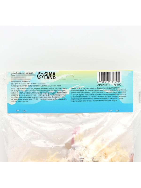 Лилия Восточная 