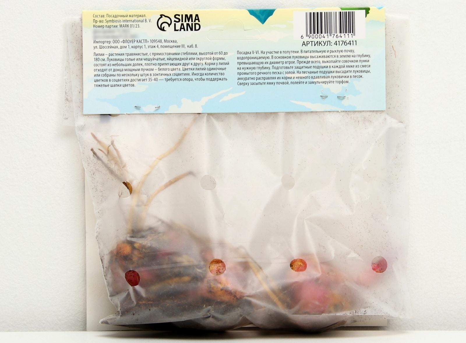 Лилия Восточная 