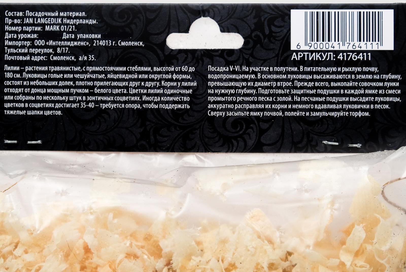 Лилия Восточная 