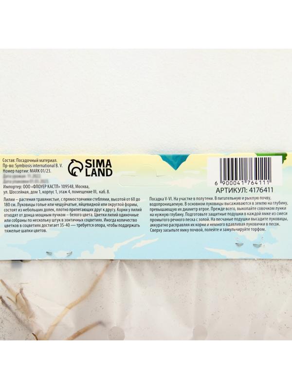 Лилия Восточная 