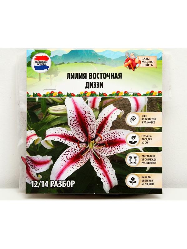 Лилия Восточная 