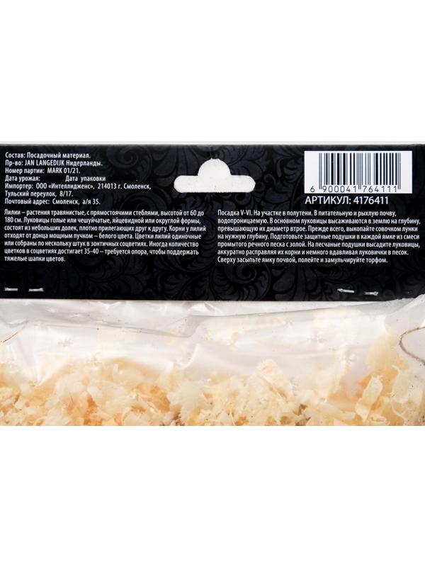 Лилия Восточная 