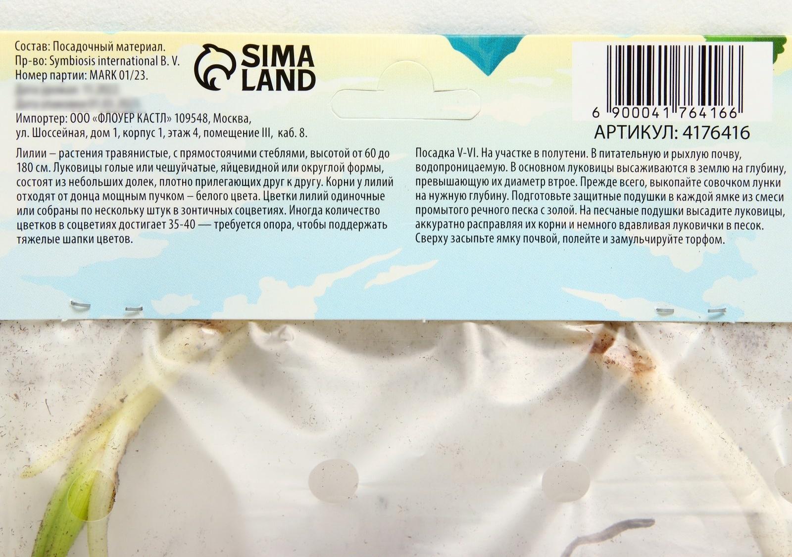 Лилия Многоцветная 