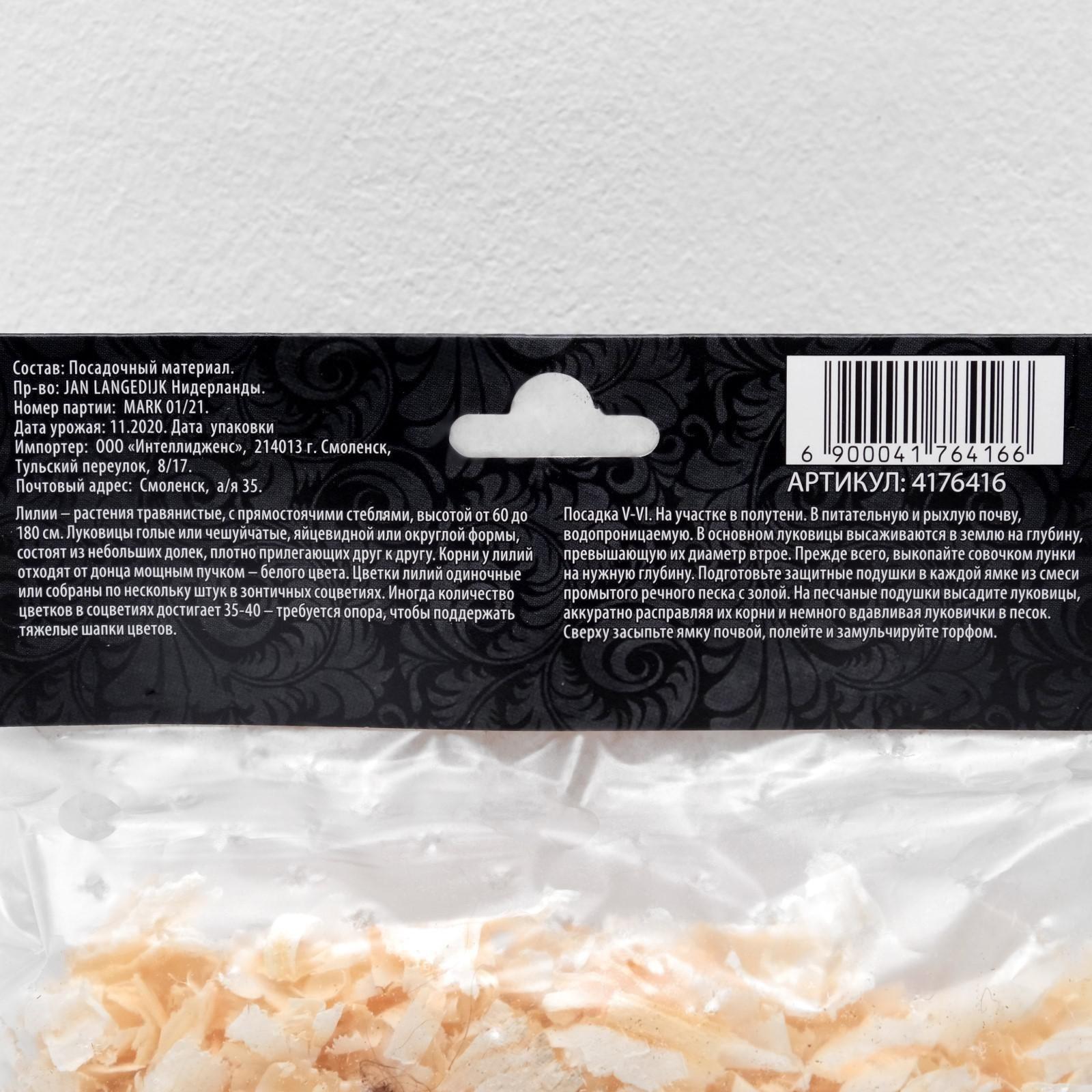 Лилия Многоцветная 