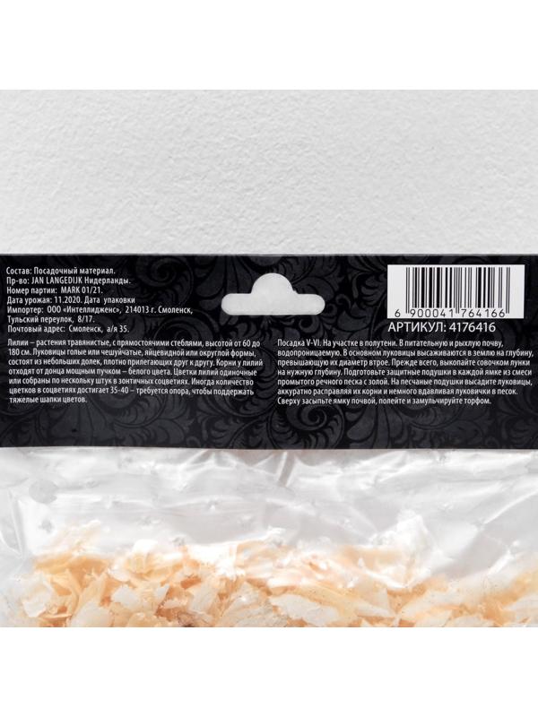 Лилия Многоцветная 