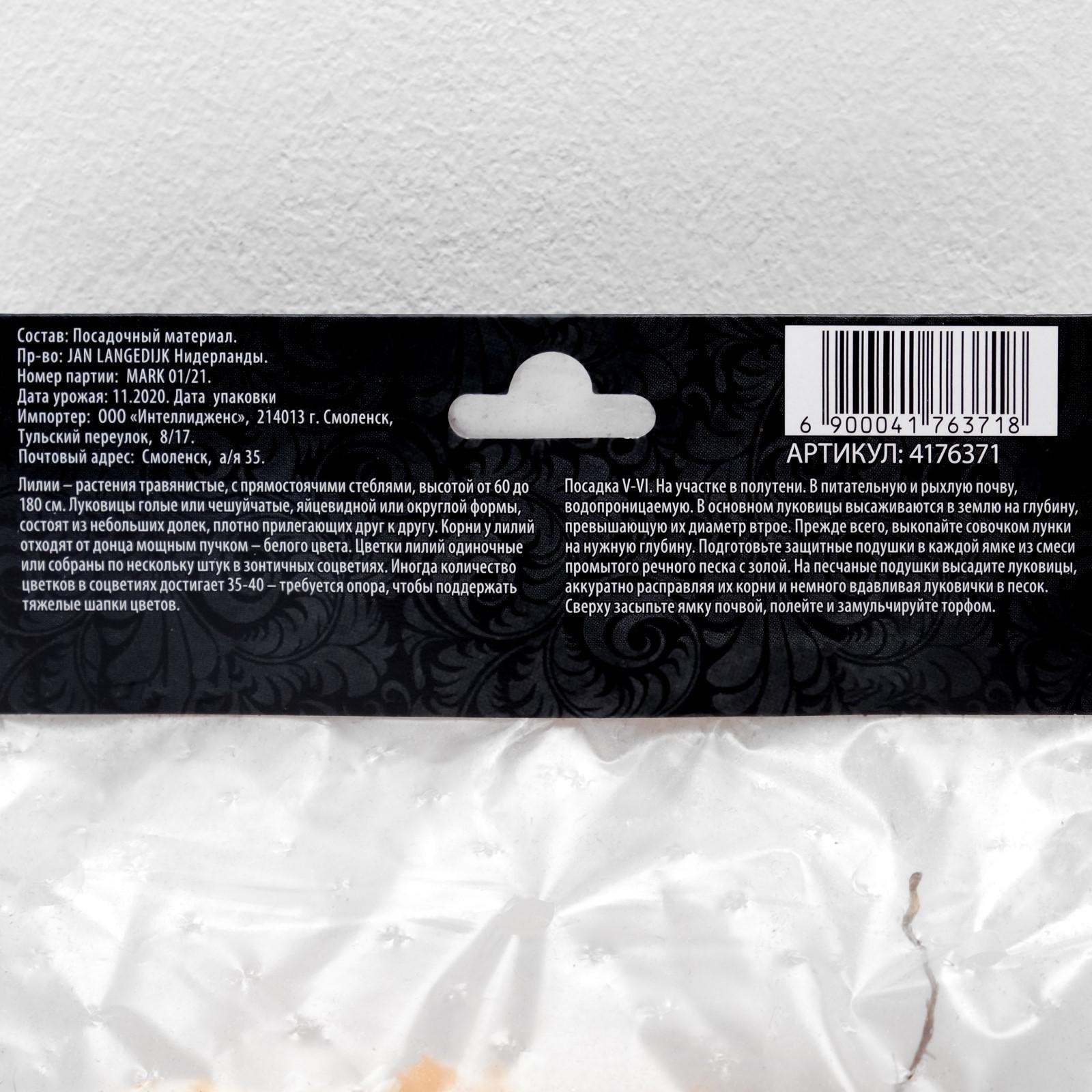 Лилия Азиатская 