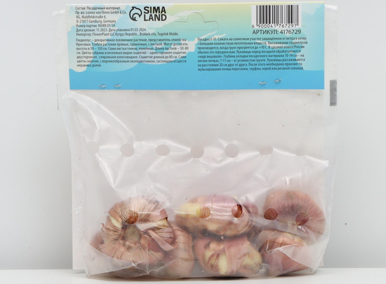 Гладиолус Низкорослый 