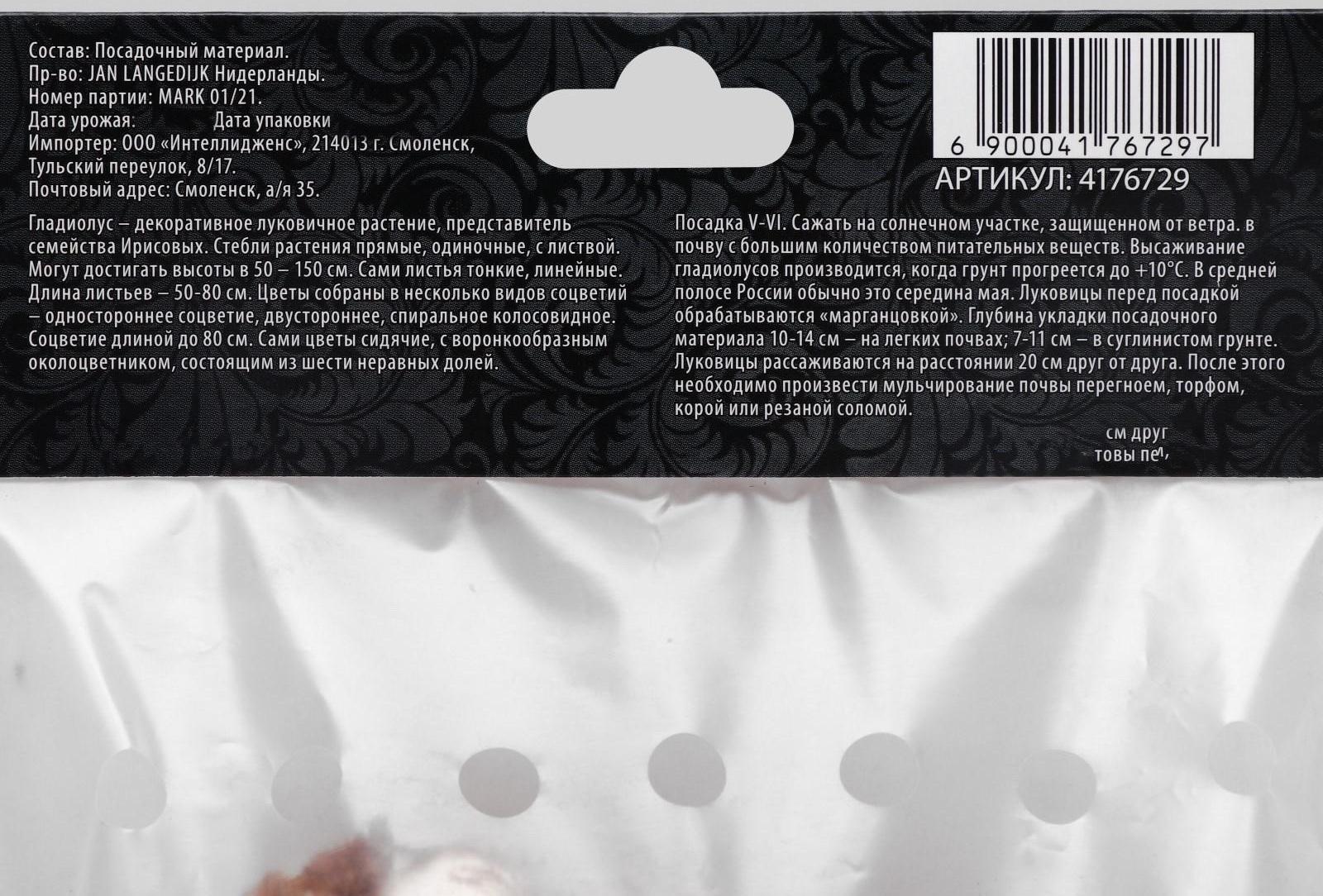 Гладиолус Низкорослый 