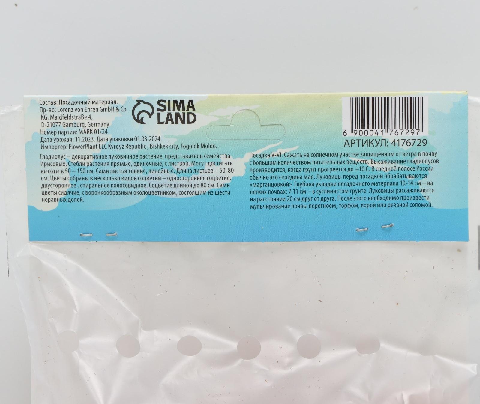 Гладиолус Низкорослый 