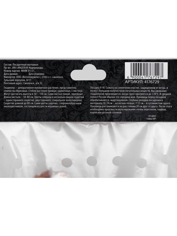 Гладиолус Низкорослый 