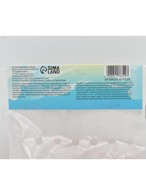 Гладиолус Низкорослый 