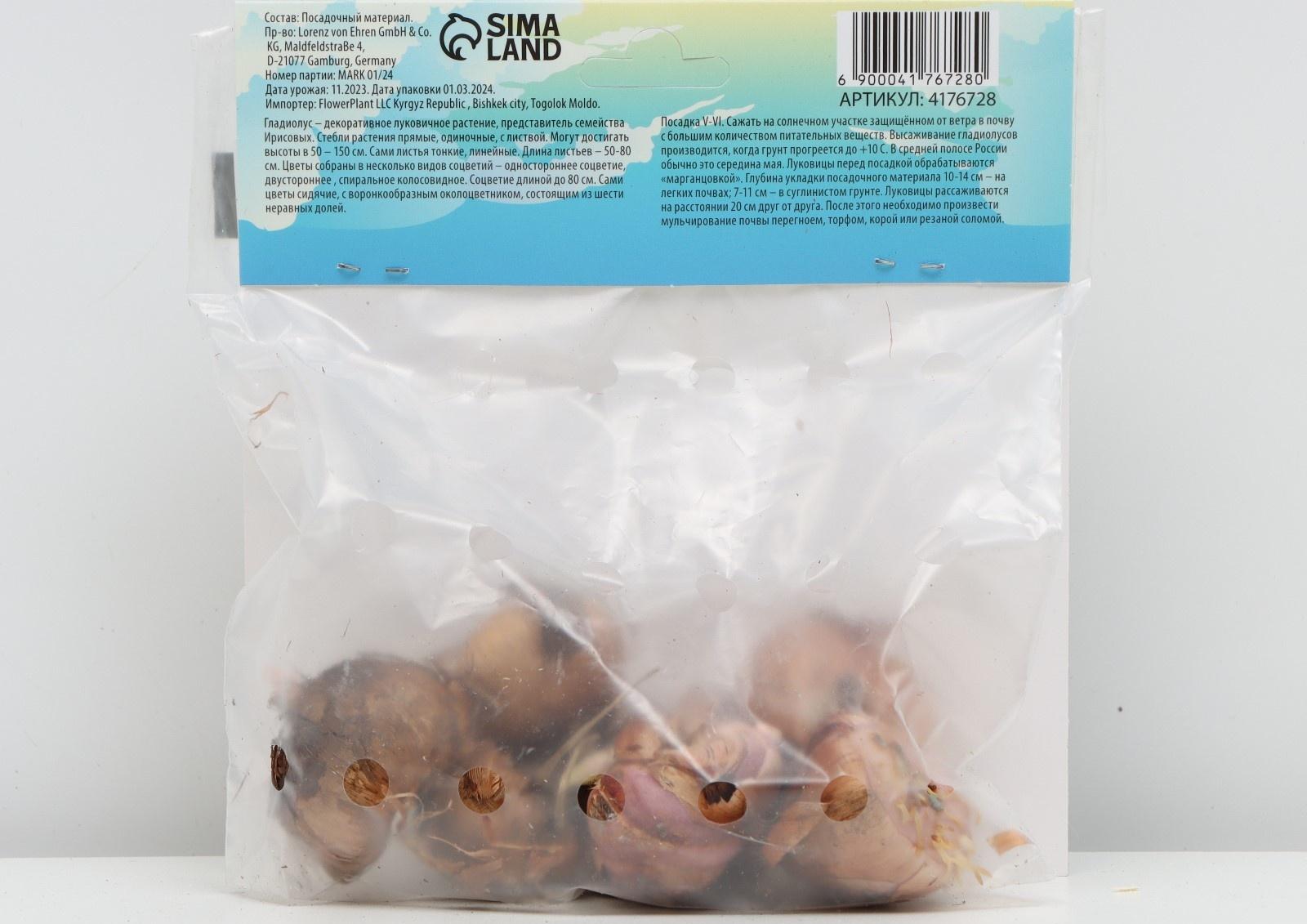 Гладиолус Низкорослый 