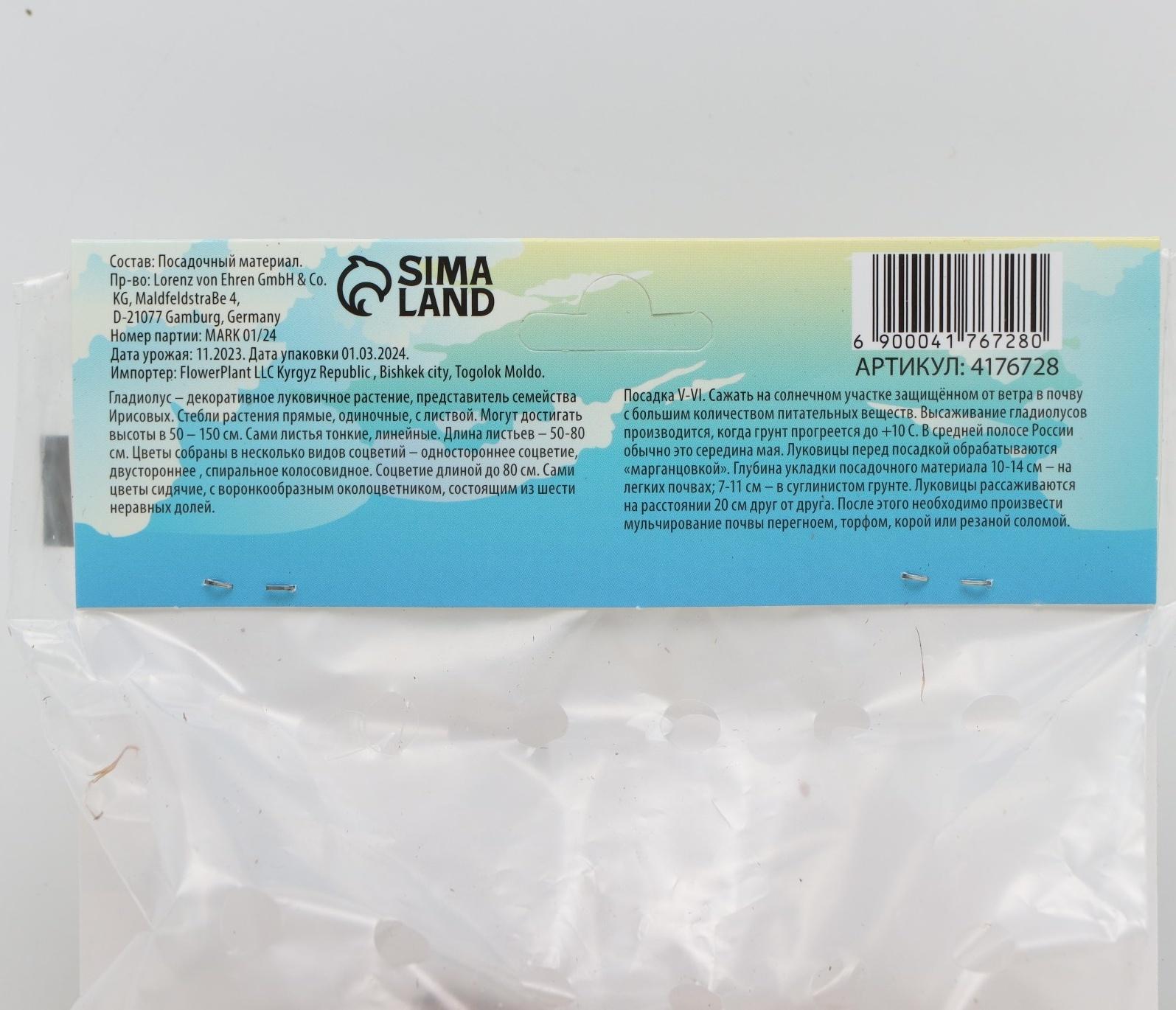 Гладиолус Низкорослый 