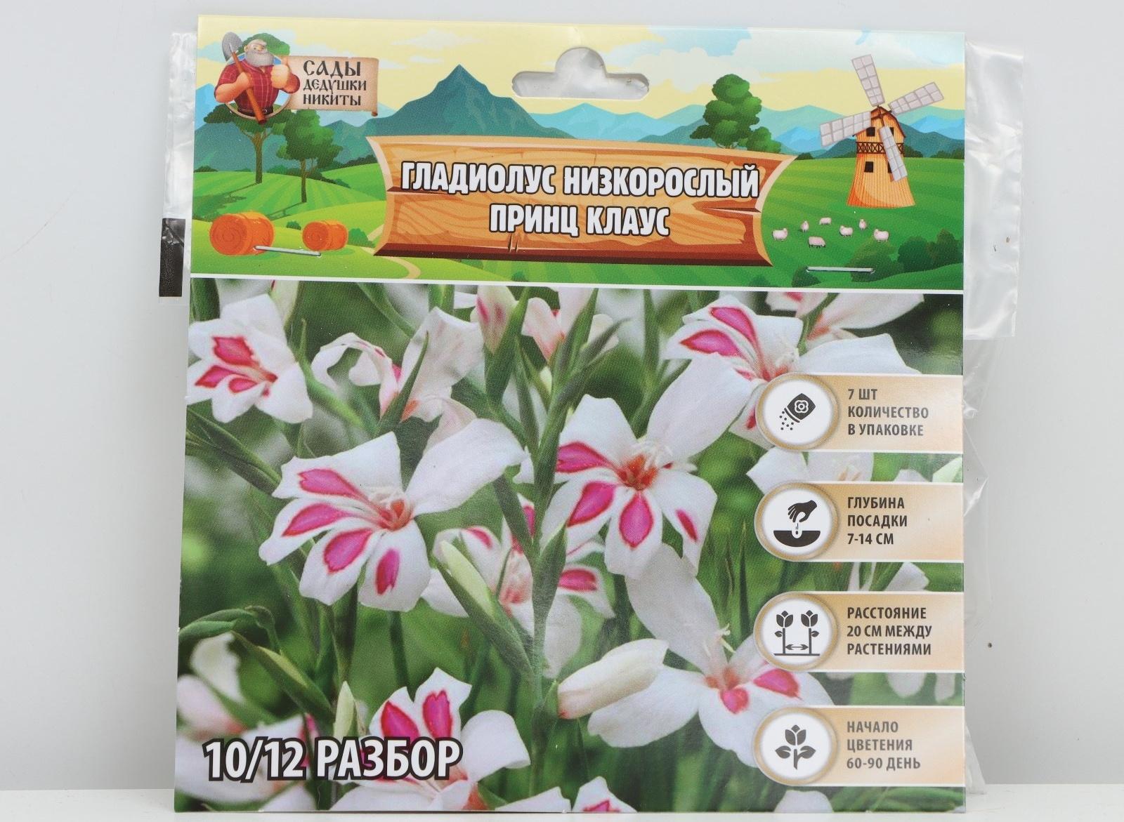 Гладиолус Низкорослый 