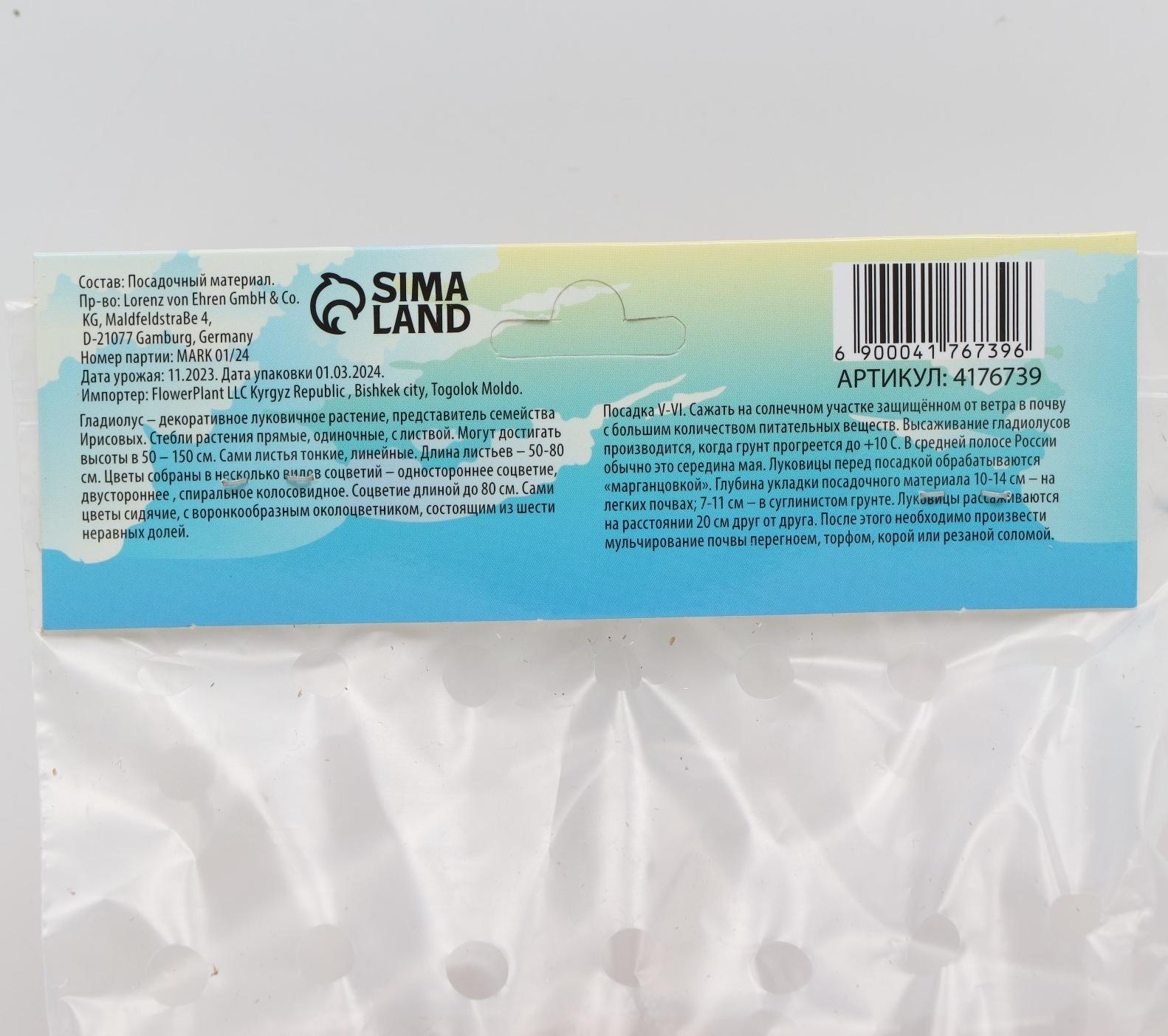 Гладиолус примуловидный 