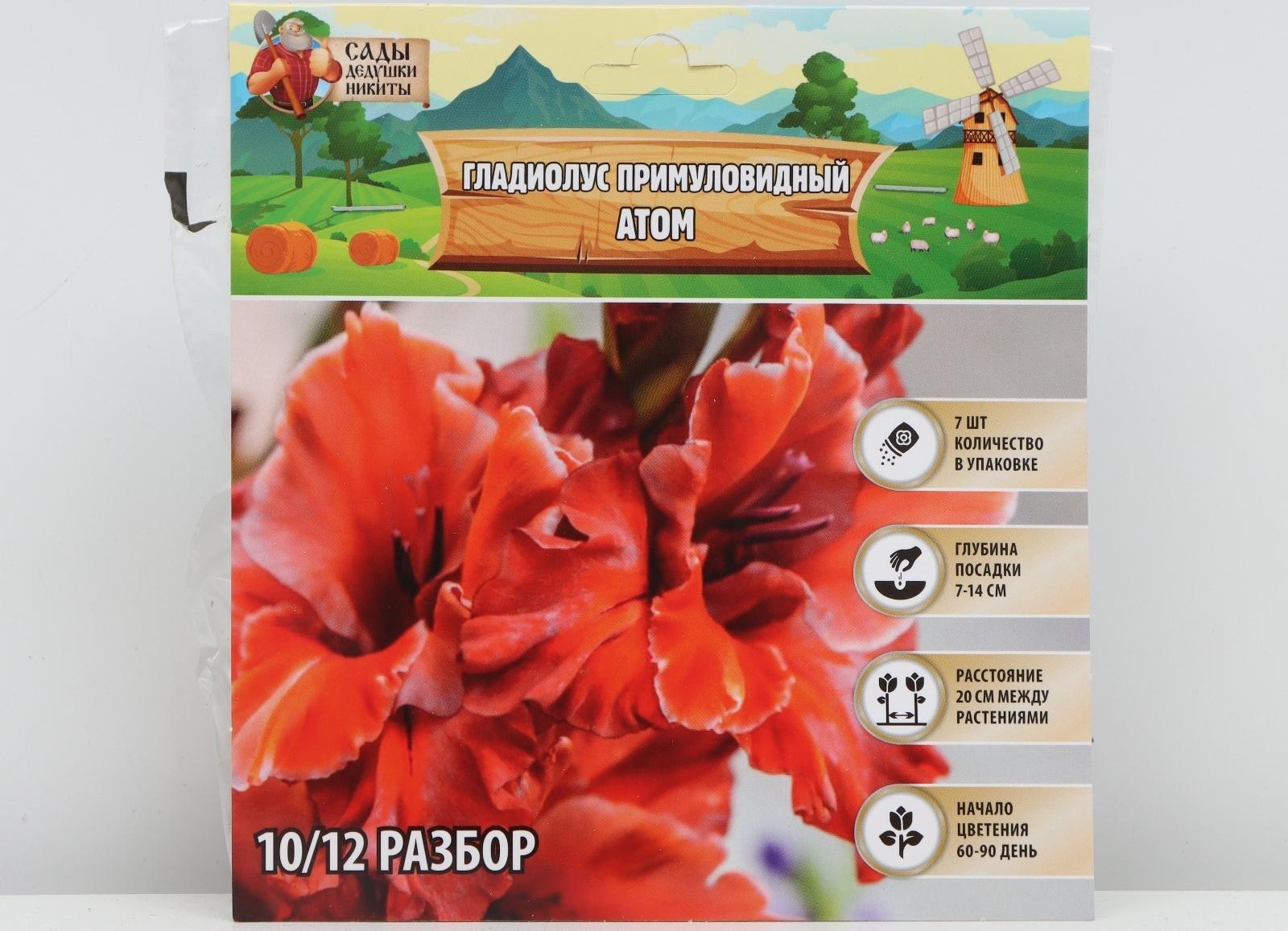 Гладиолус примуловидный 