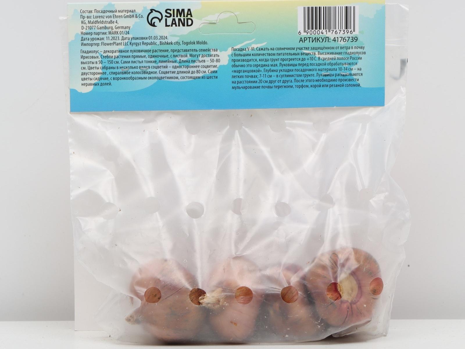 Гладиолус примуловидный 