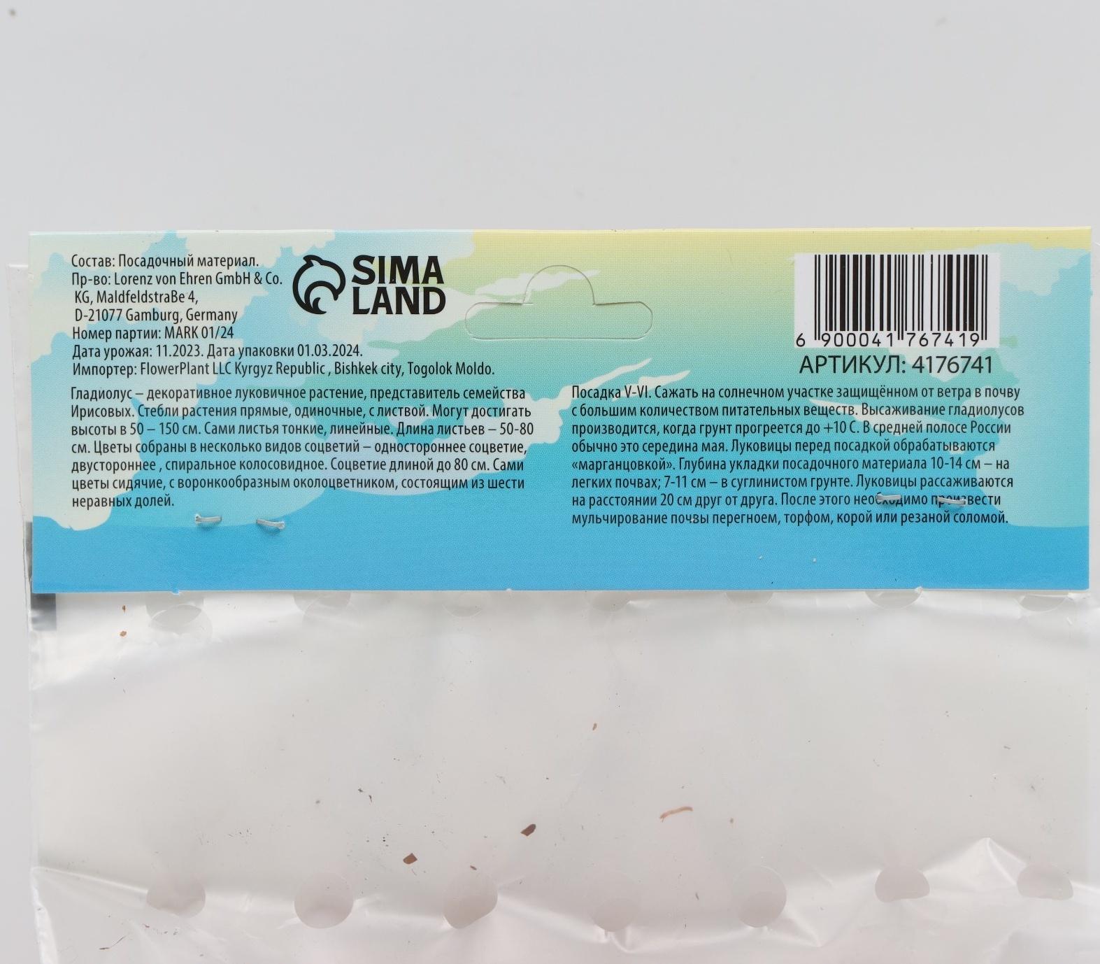 Гладиолус Тубергена 