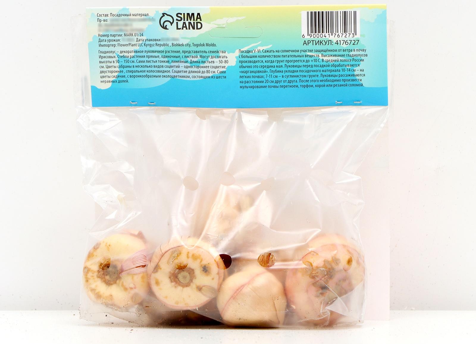 Гладиолус Низкорослый 