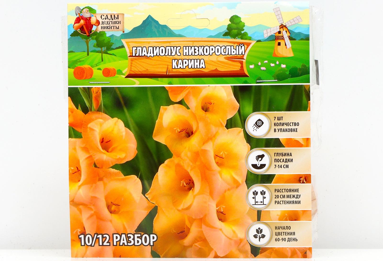 Гладиолус Низкорослый 