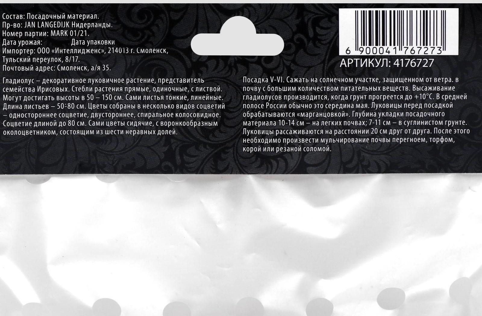 Гладиолус Низкорослый 