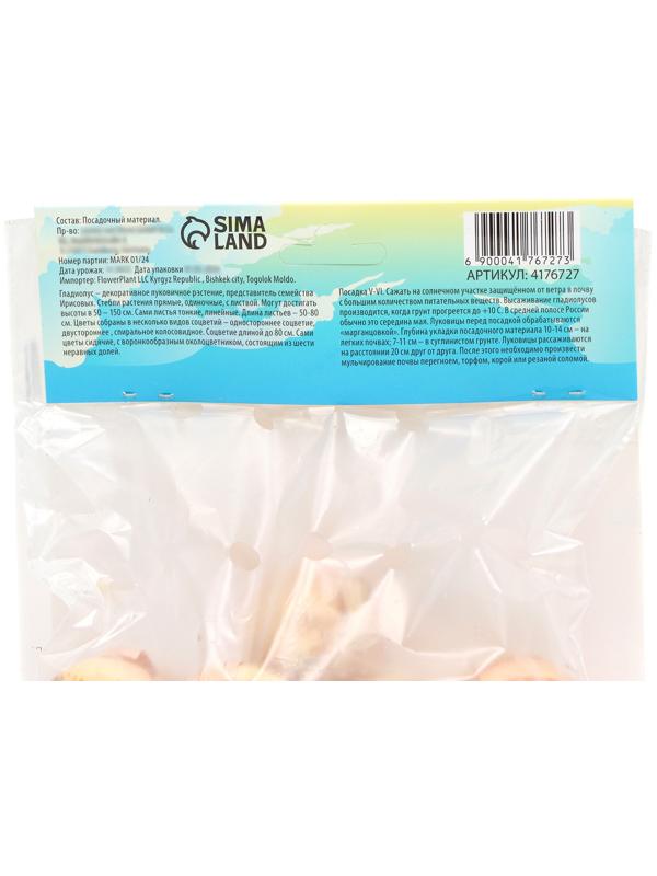 Гладиолус Низкорослый 