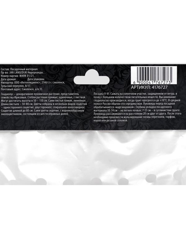 Гладиолус Низкорослый 