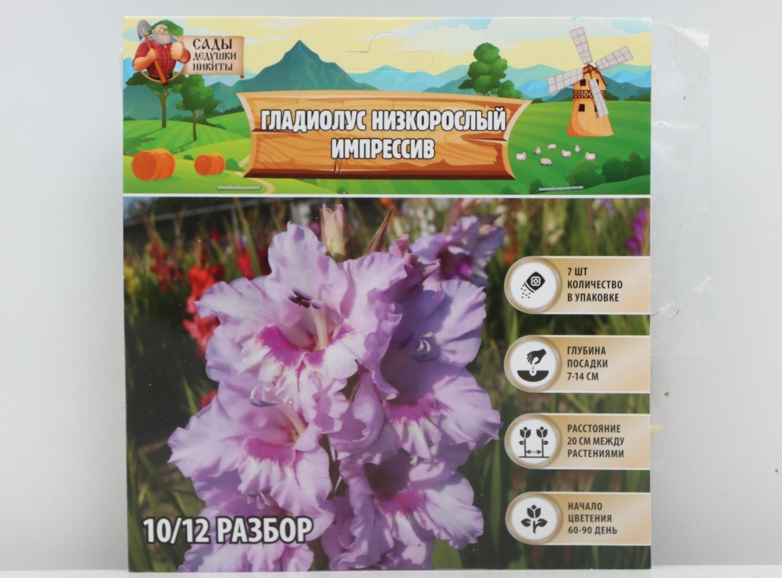 Гладиолус Низкорослый 