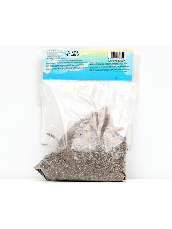 Георгина Помпонная 