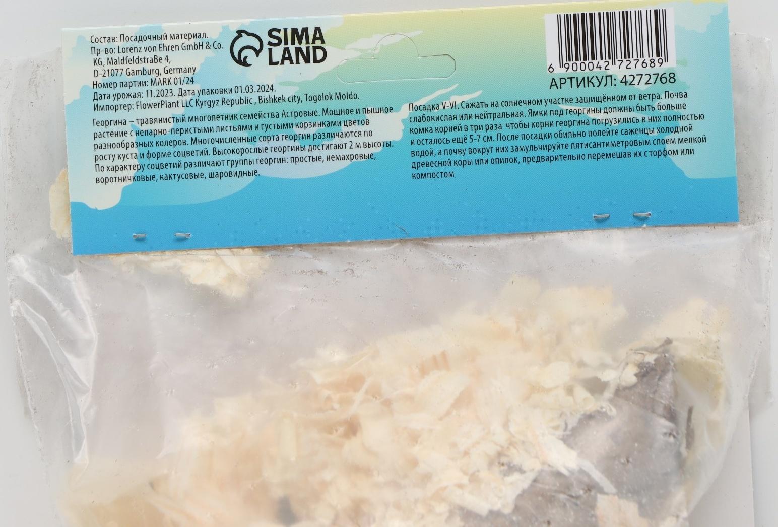 Георгина декоративная 