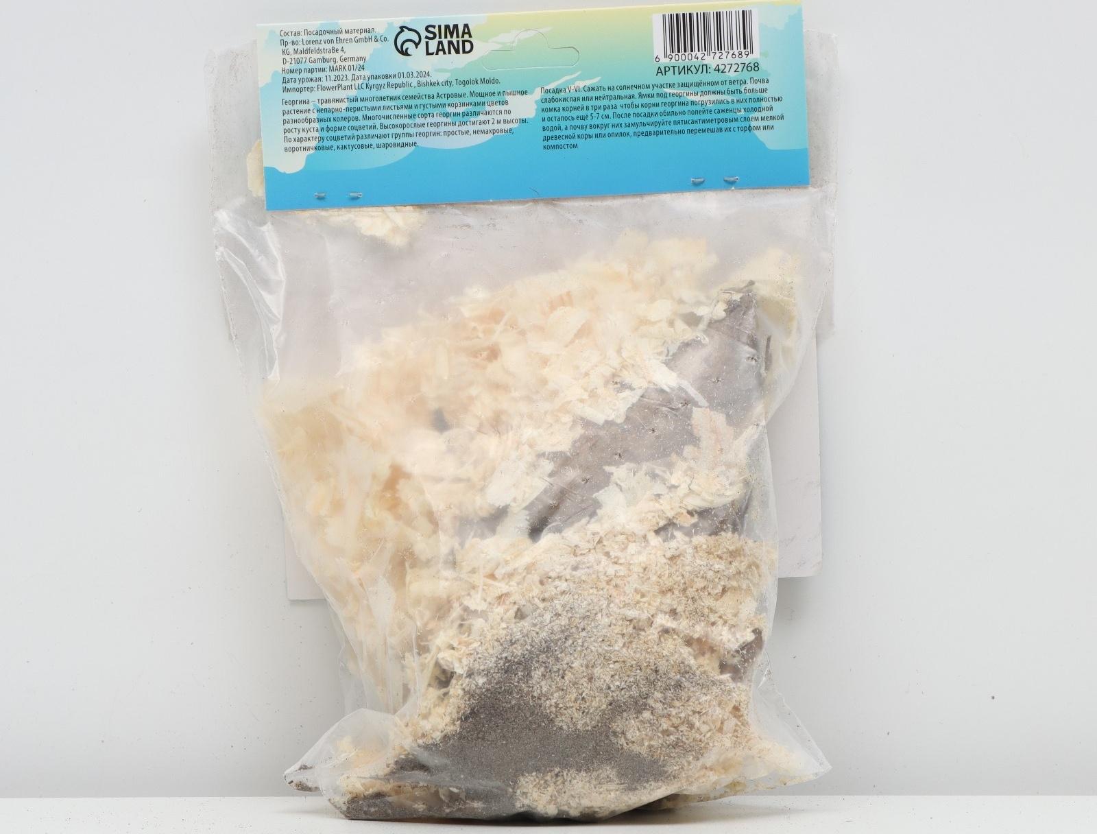 Георгина декоративная 