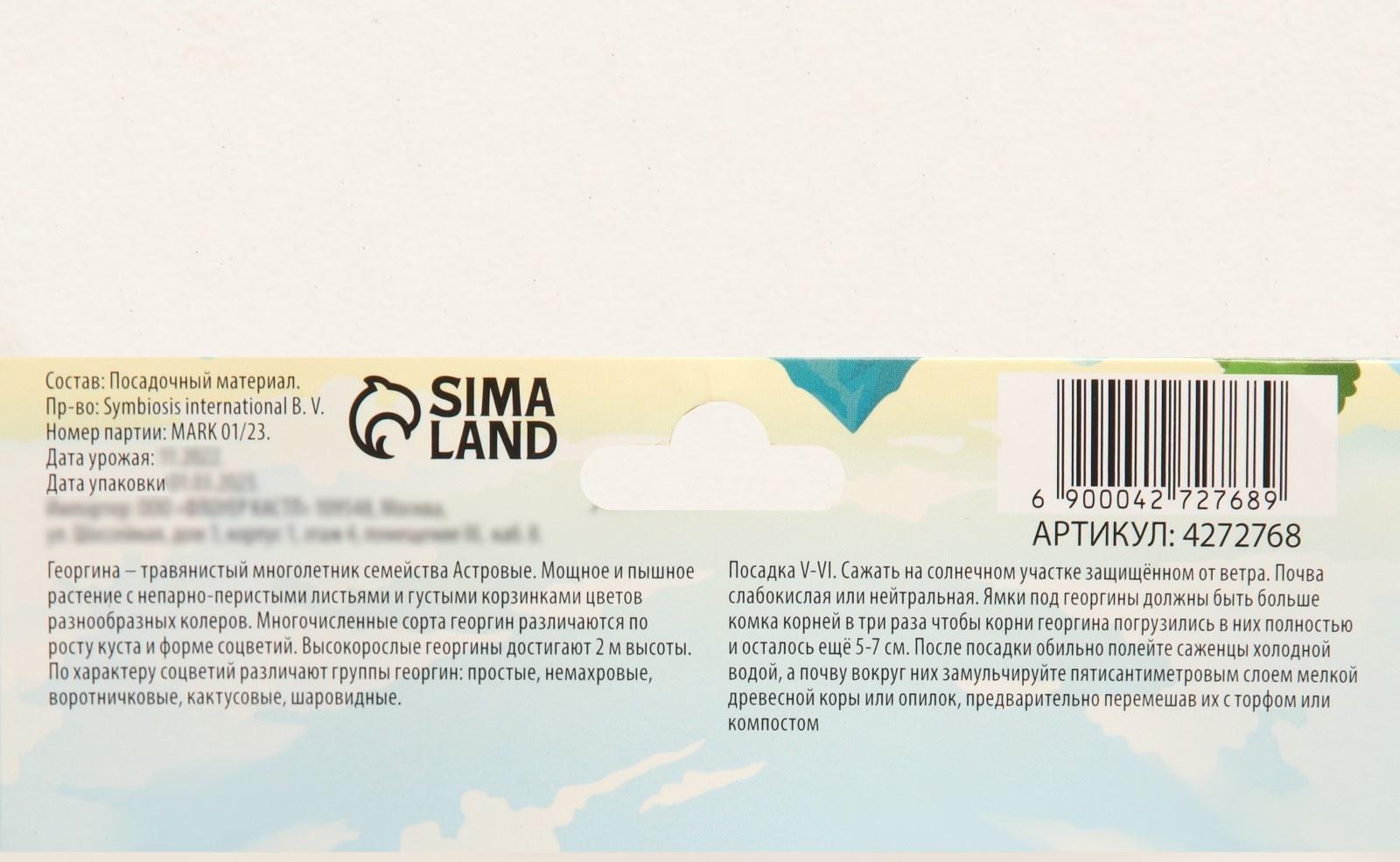 Георгина декоративная 