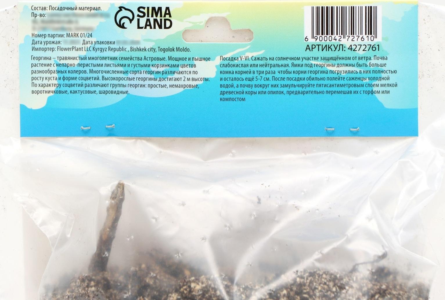 Георгина декоративная 