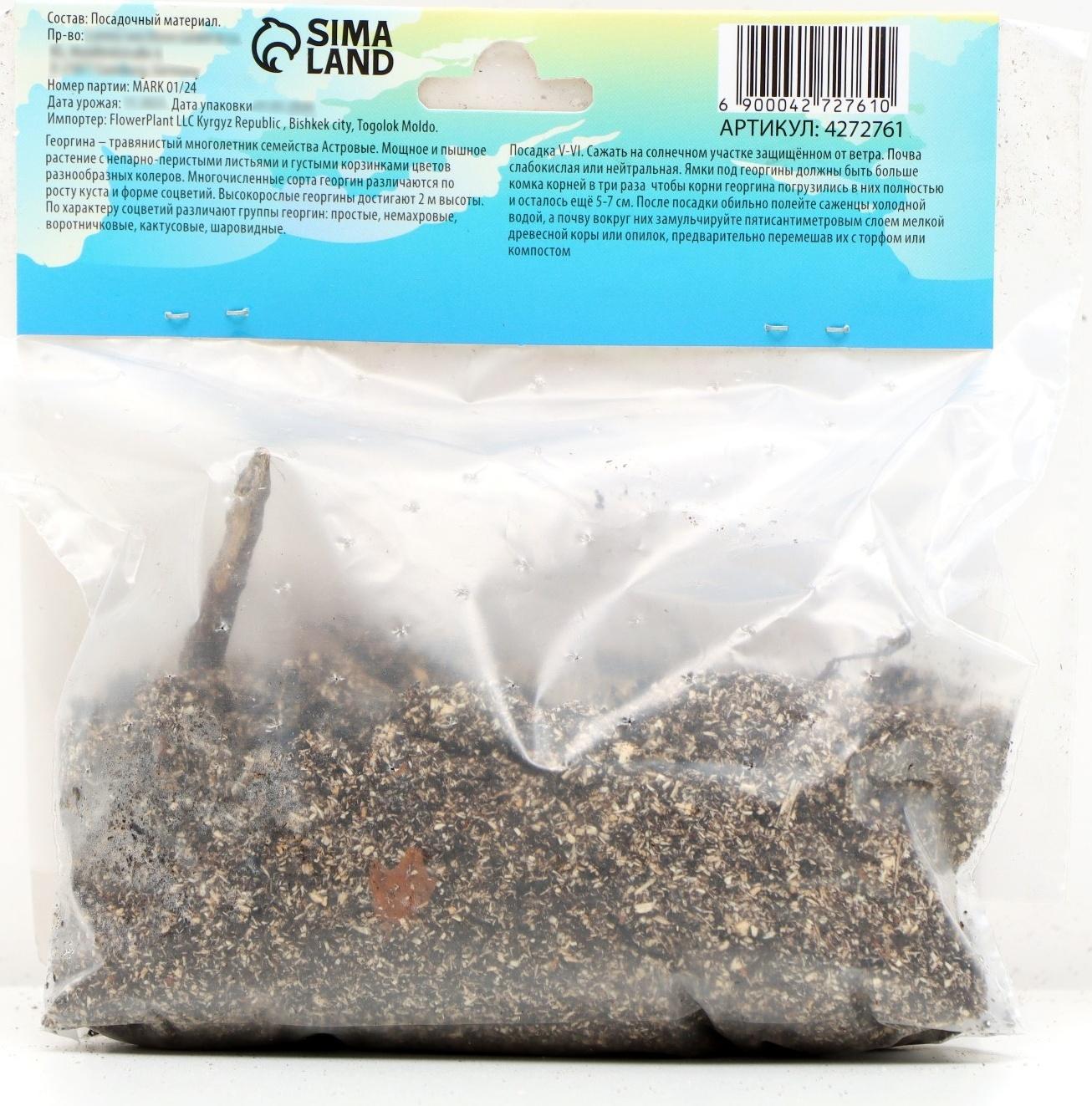 Георгина декоративная 