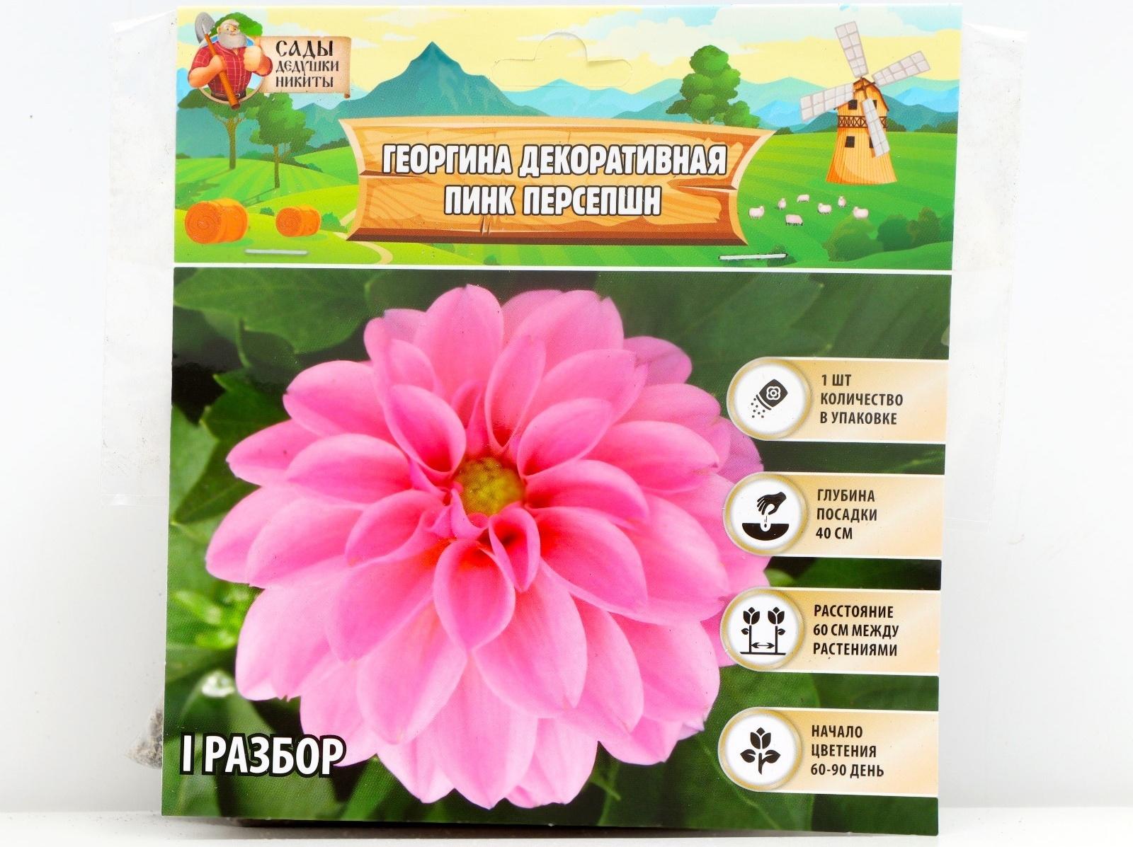 Георгина декоративная 