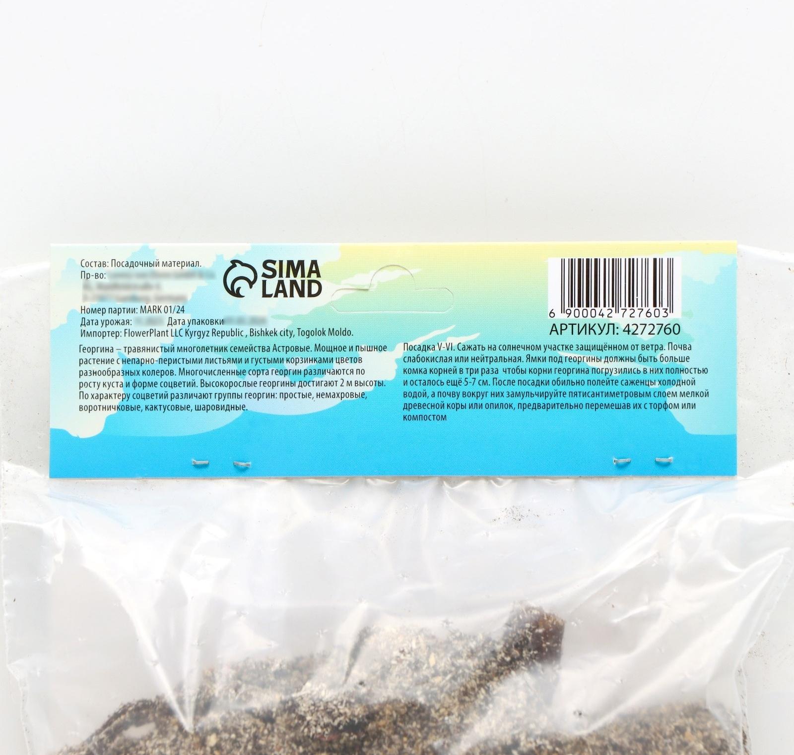 Георгина декоративная 