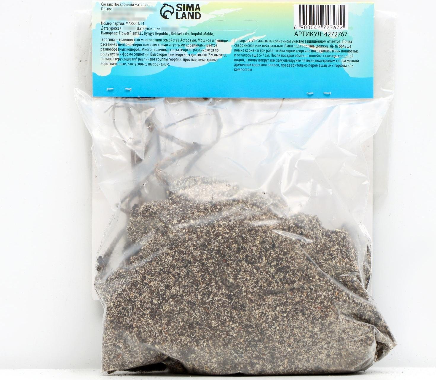 Георгина декоративная 