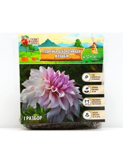 Георгина декоративная 